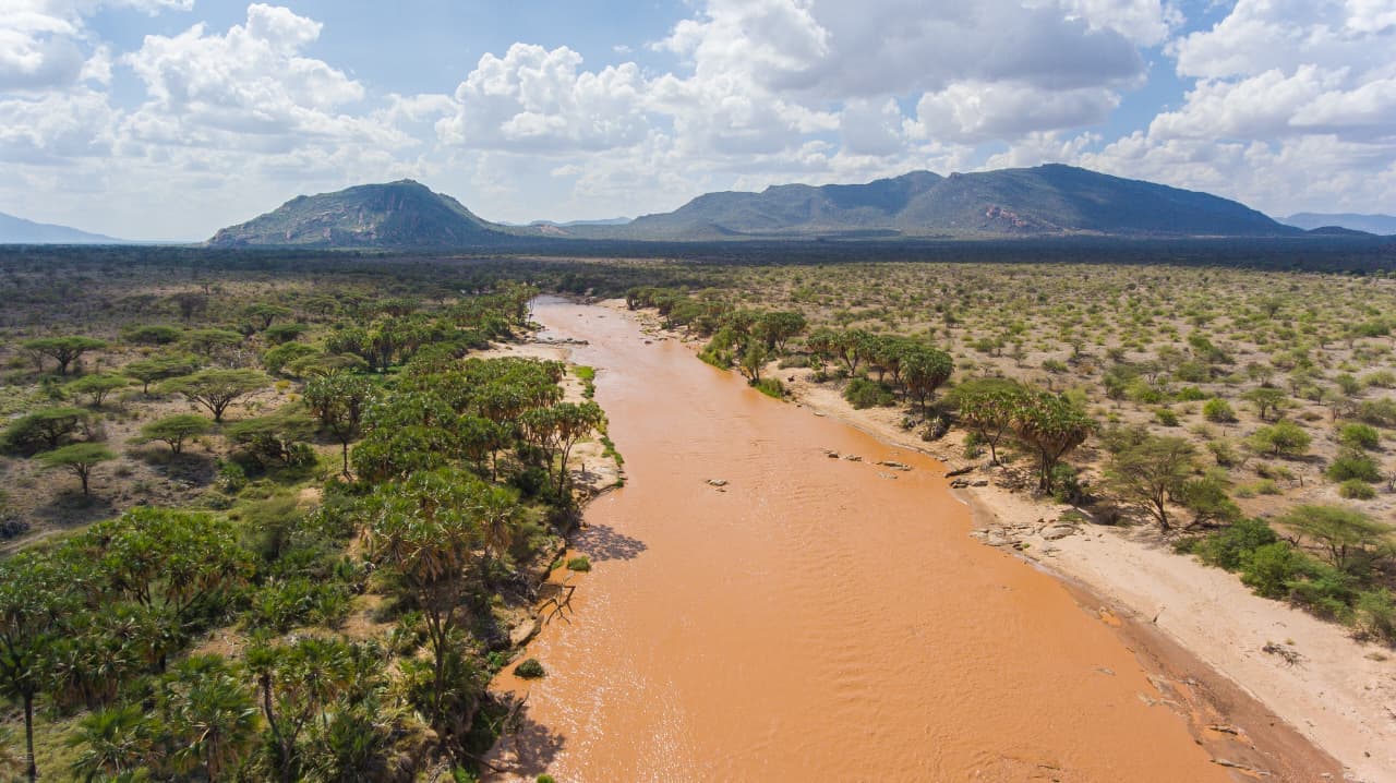Aerial view of the Ewaso Ny'iro River lined with doum palms, Isiolo County